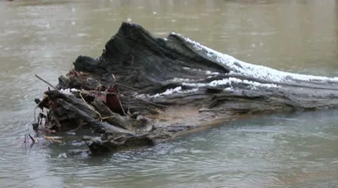 Log in River Stock Footage 10577314