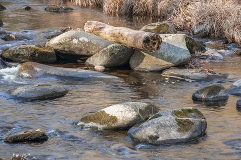 Log on the rocks in willard brook Foto stock
