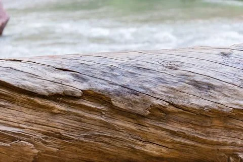 A log with a rough surface and a few small holes Foto stock