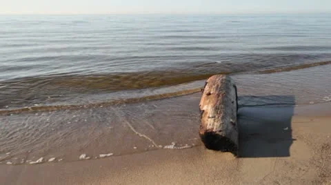 Log on a sandy beach Stock Footage 10572424