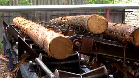 Log at the sawmill Stock Footage 125329992