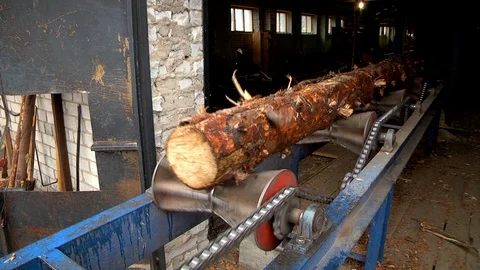 Log at the sawmill Stock Footage 125330025