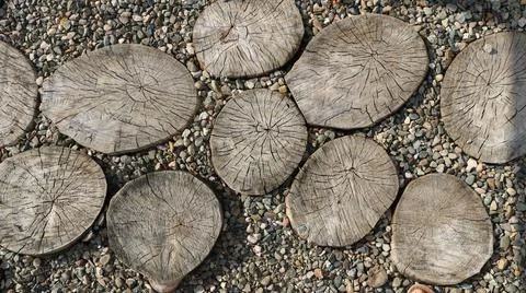Log sections lined with stone screenings Stock Photos