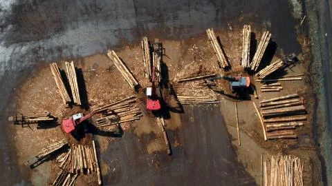 Log separators in a log yard saw mill operation Stock Photos