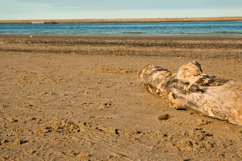Log on the shore Stock Photos