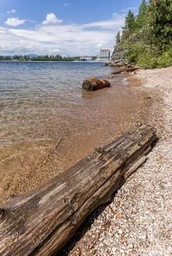 Log by the shore. Stock Photos