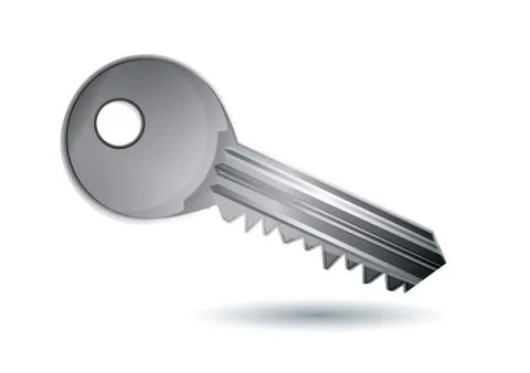 Log in silver key icon, vector illustration Stock Illustration