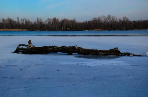 Log on a snow Stock Photos