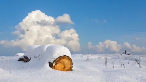 Log in a snowbound plain time lapse scene Vídeos de archivo 251851403