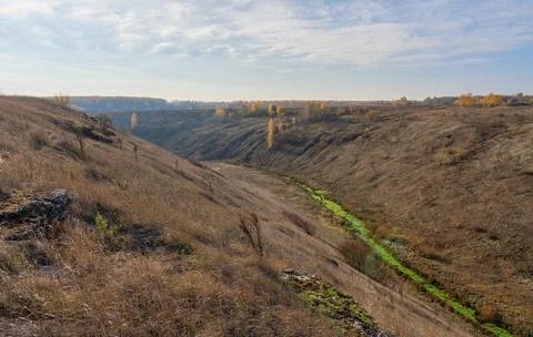 A log with sparse trees painted in yellow autumn foliage and a small stream.. Stock Photos