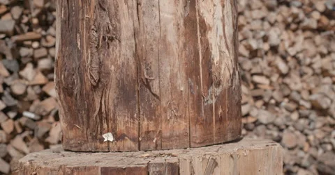 Log split @ 240fps Stock Footage 68537231
