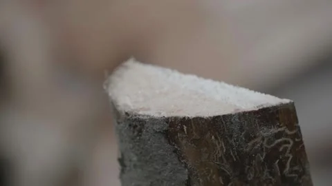 Log split with a DOLABRA by a Roman soldier blowing up chips and sawdust see Stock Footage 147623473