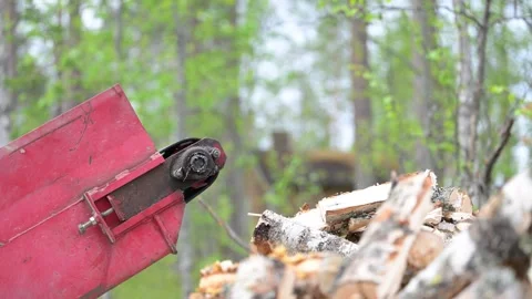 Log splitter's conveyor belt Stock Footage 312467657