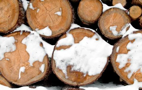 Log stack lumber with snow Stock Photos