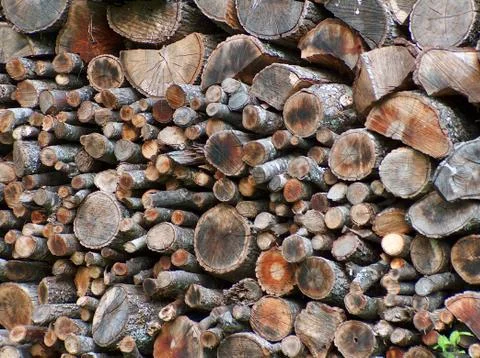 Log stack 스톡 사진