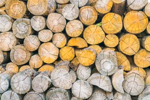 Log stack Stock Photos