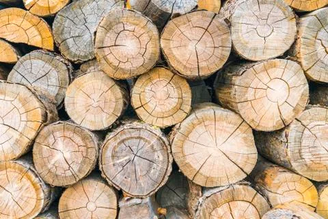 Log stack Stock Photos