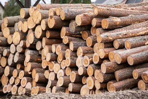 Log Stack. Timber Production, Transportation and Deliver Stock Photos