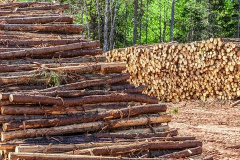 Log stacks Stock Photos