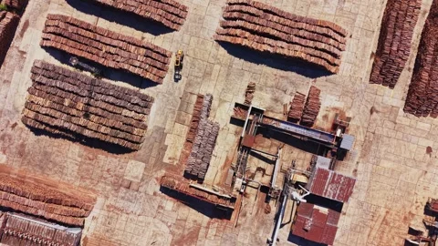 Log storage area with processing equipment and machinery Video stock 342602629