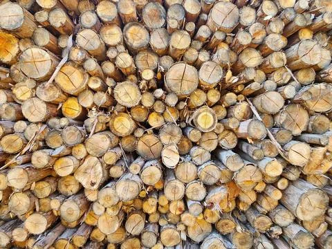 Log storage Stock Photos