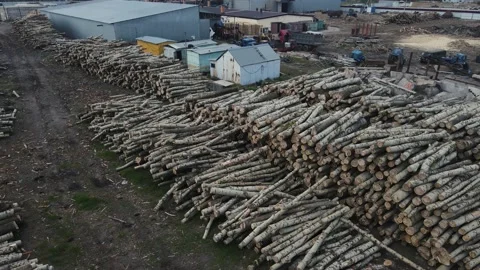 Log storage warehouse outside the city. 4k drone footage Stock Footage 237875201
