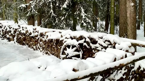 Log Storage in Winter Rural Life Stock-Footage 302787098