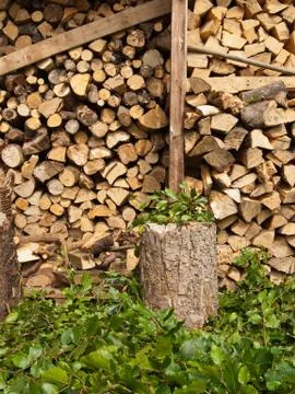 Log store and leaves Stock Photos