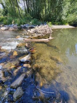 Log stuck Stock Photos