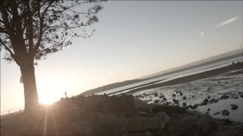 LOG: Sunset with Tree 動画素材 21934301