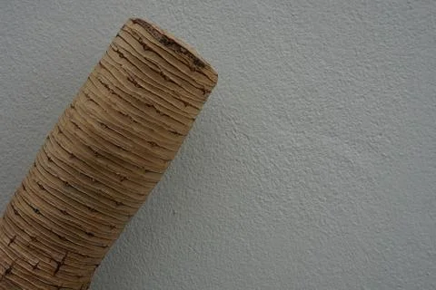 Log of the tamarind trunk Stock Photos