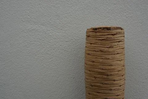 Log of the tamarind trunk Stock Photos