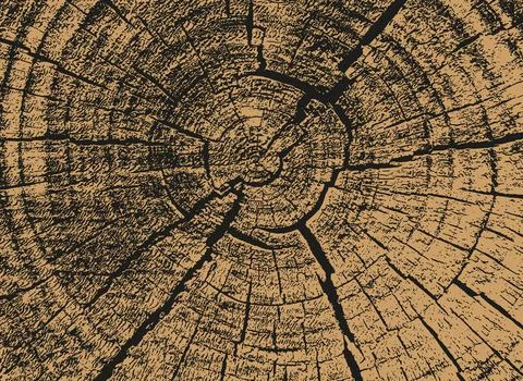 Log texture vector illustration.Wooden background. Illustrazione stock