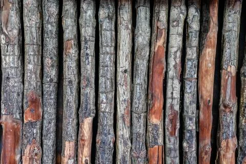 Log texture wall background Stock Photos