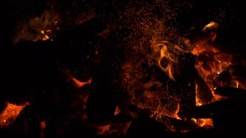 Log Thrown on Fire at Night Video stock 76181679