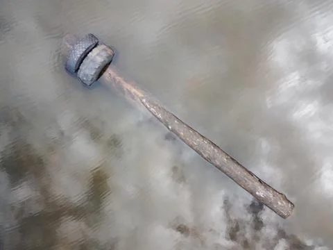 Log with tires floating in a pond top view aerial photo Stock Photos
