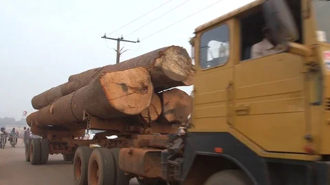 Log Transfer Video stock 74841000