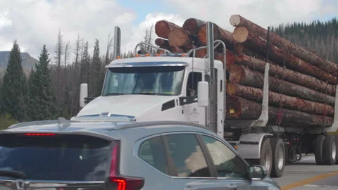 Log Truck Transporting Logs Stock Footage 180123608