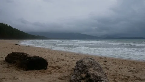 Log trunk laying on beach like a table for put something on ,  Background are Stock Footage 94513501