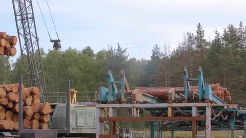 Log unloading by crane at the sawmill, u... | Stock Video | Pond5