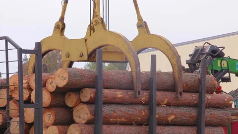 Log unloading by crane at the sawmill, unloading logs of forest capture on the Stock Footage 106835142