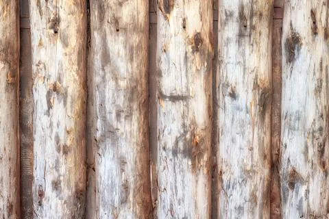 Log wall close up 写真素材