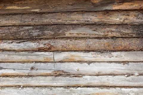 Log wall detail. Stock Photos
