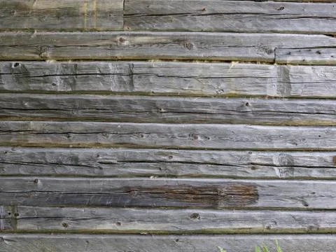 Log wall Fotos de archivo