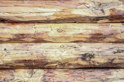 Log wall 스톡 사진