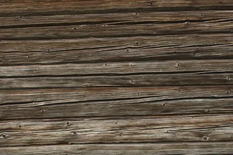 Log wall. Stock Photos