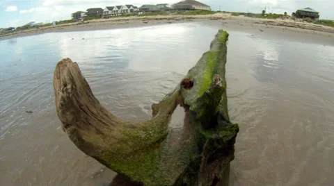 Log Washed Up On Beach 스톡 동영상 33576038
