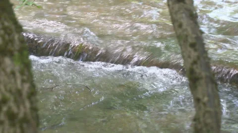 A log in the water Video stock 25351910