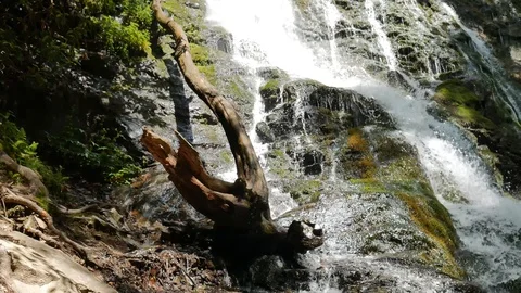 Log in waterfall 스톡 동영상 90877608