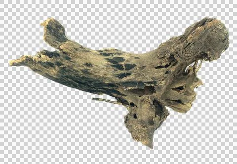 Log wood isolate on transparent background png file Stock Photos